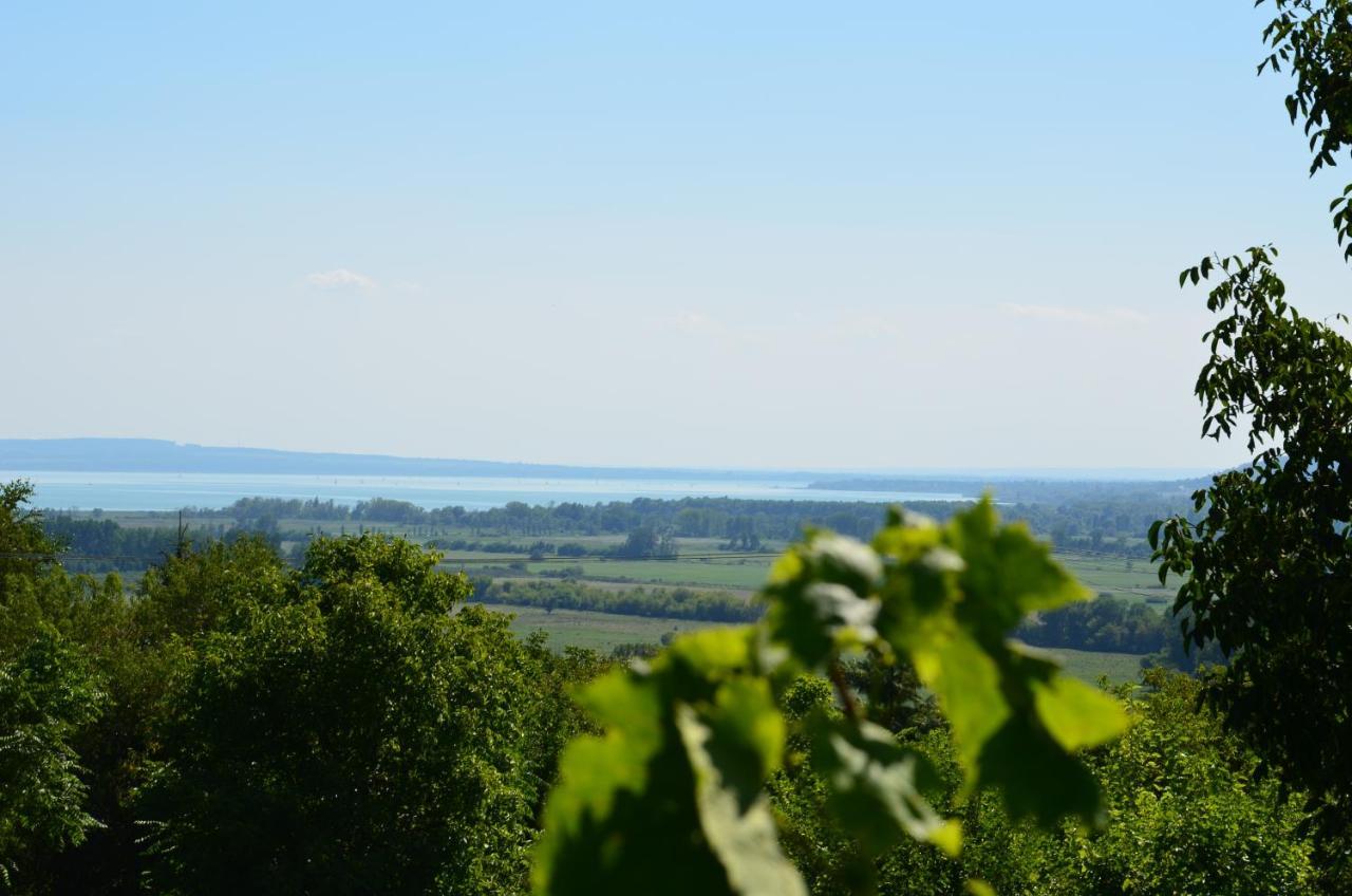Grand Cru 3. Vendeghaz Villa Hegymagas Bagian luar foto