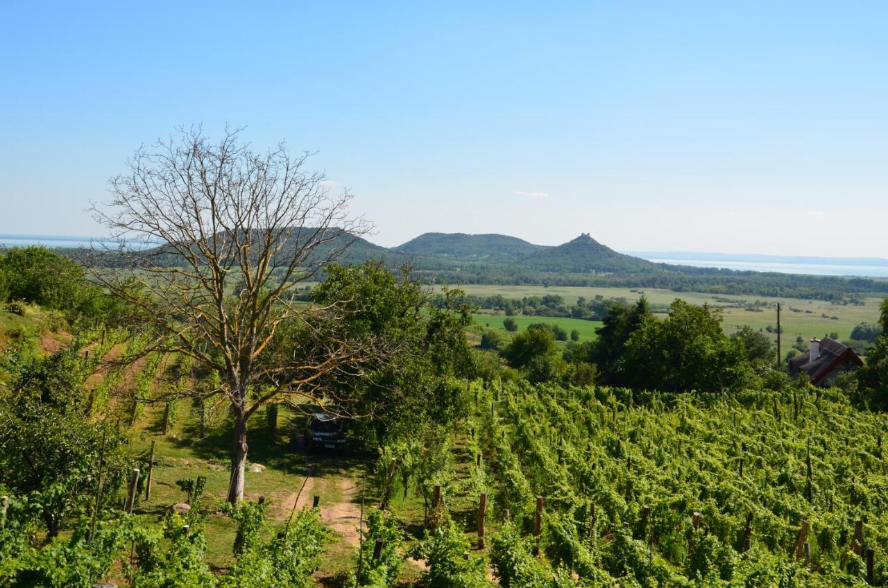 Grand Cru 3. Vendeghaz Villa Hegymagas Bagian luar foto