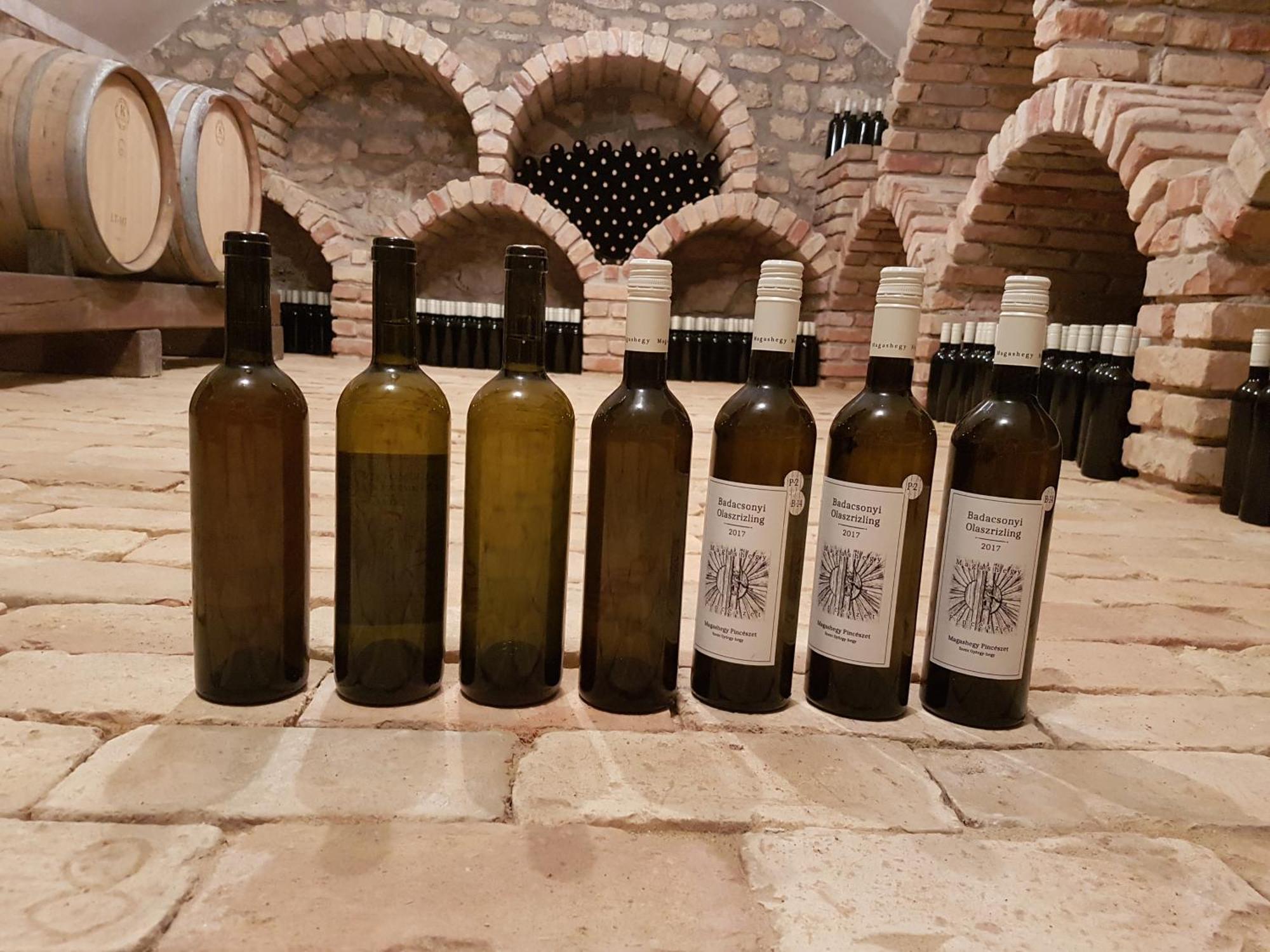 Grand Cru 3. Vendeghaz Villa Hegymagas Bagian luar foto