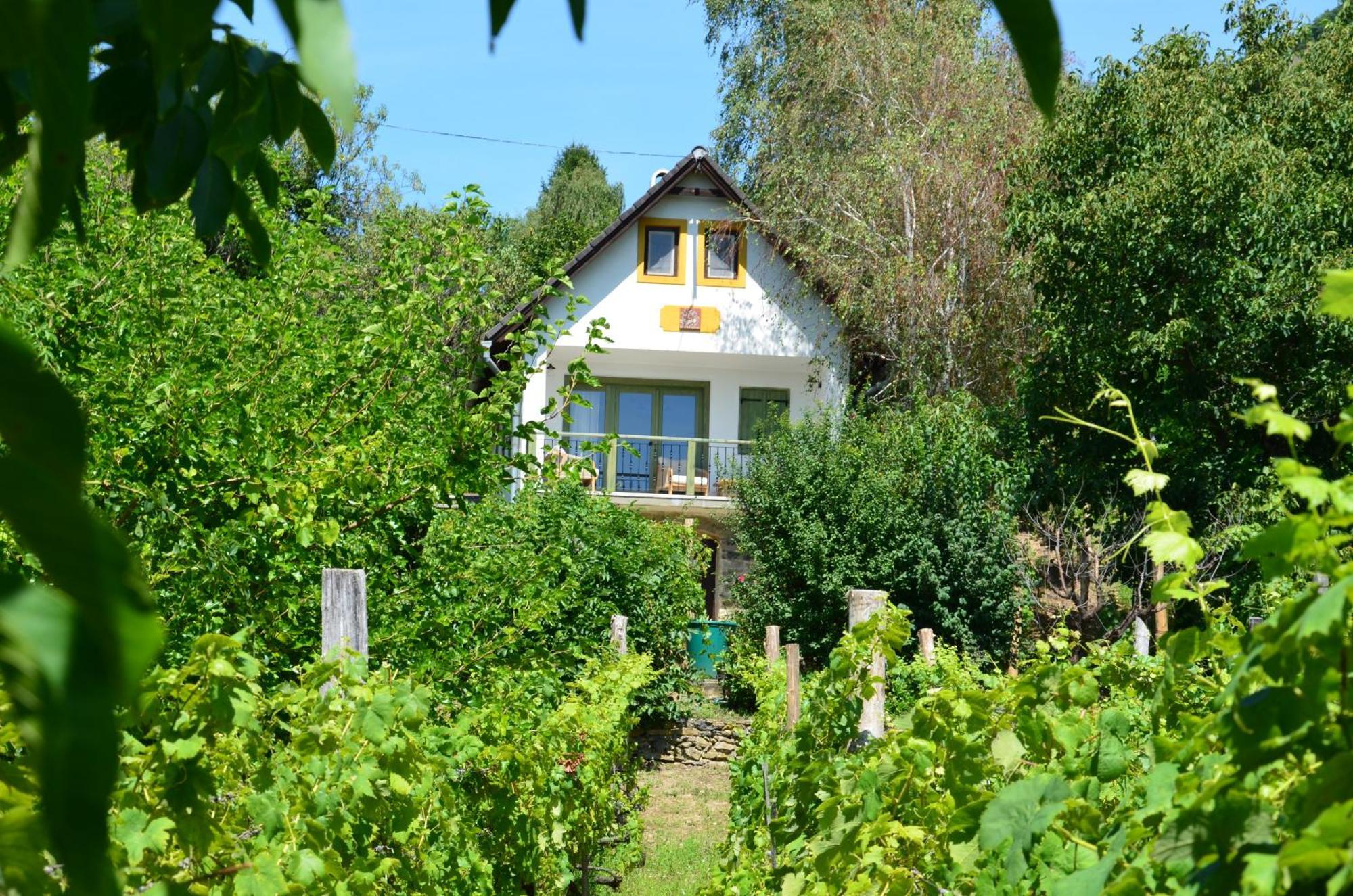 Grand Cru 3. Vendeghaz Villa Hegymagas Bagian luar foto
