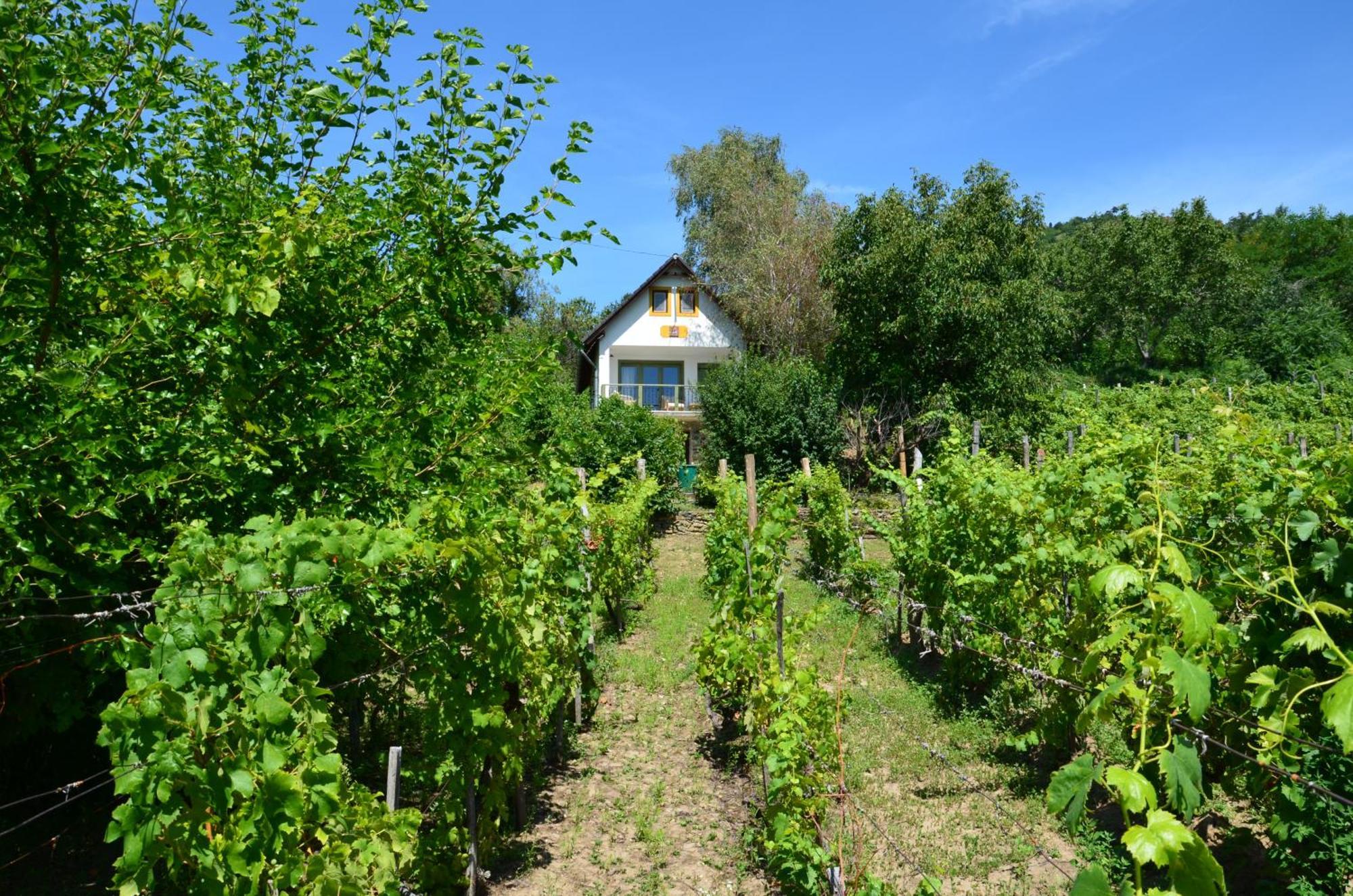 Grand Cru 3. Vendeghaz Villa Hegymagas Bagian luar foto